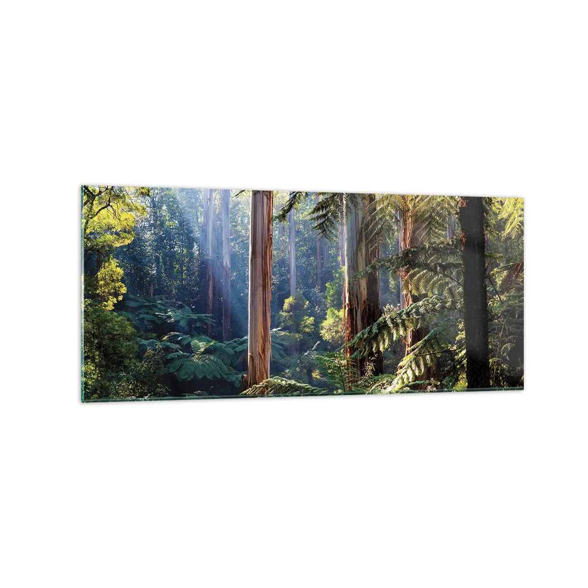 Glass picture - Tale of a Forest - 120x50 cm