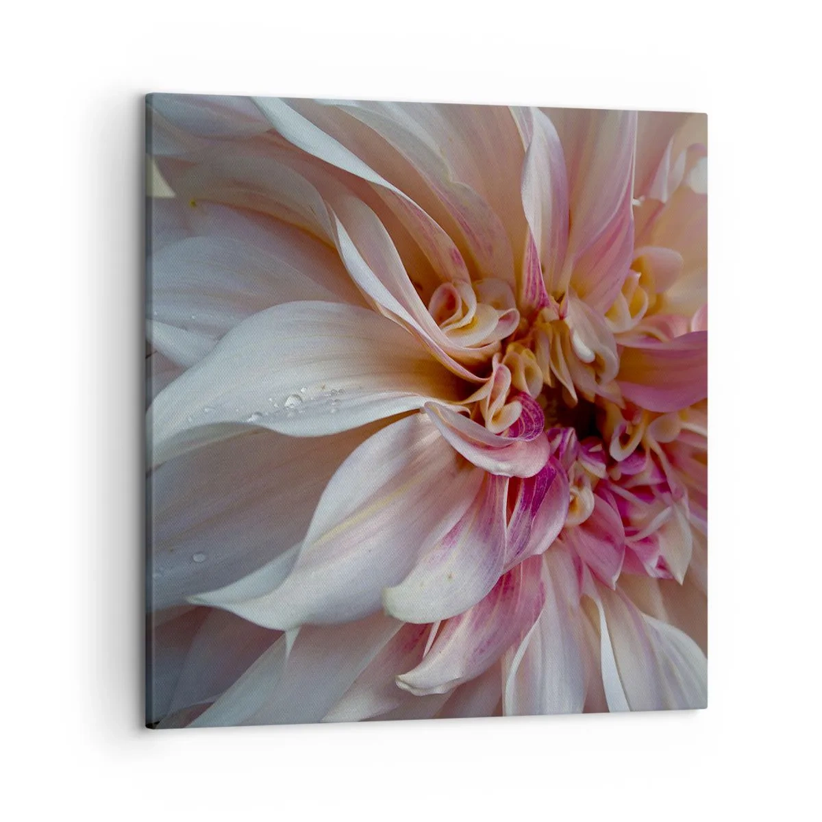 Canvas picture - Blooming Freshness - 50x50 cm