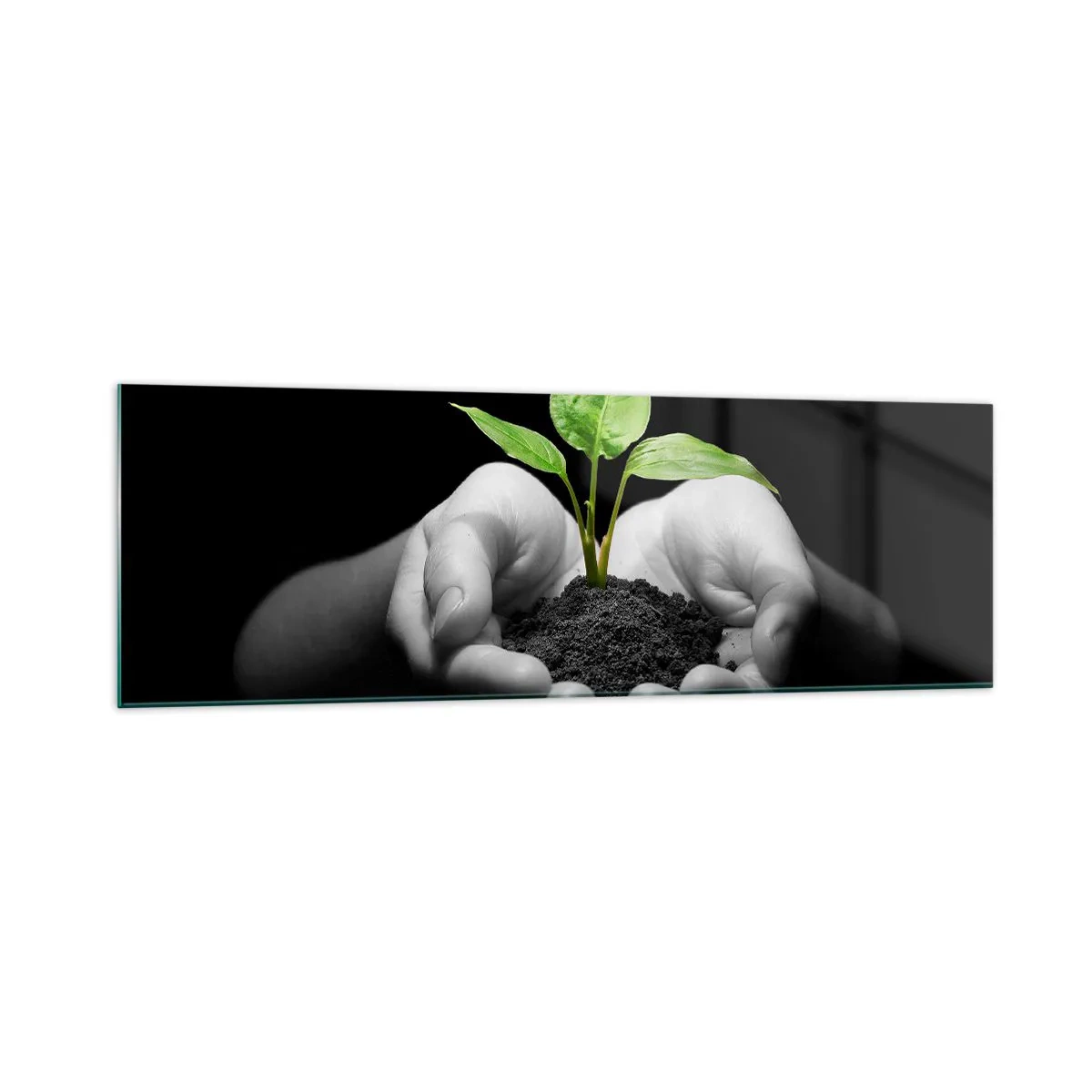 Glass picture - I Love Nature, I Protect It - 160x50 cm