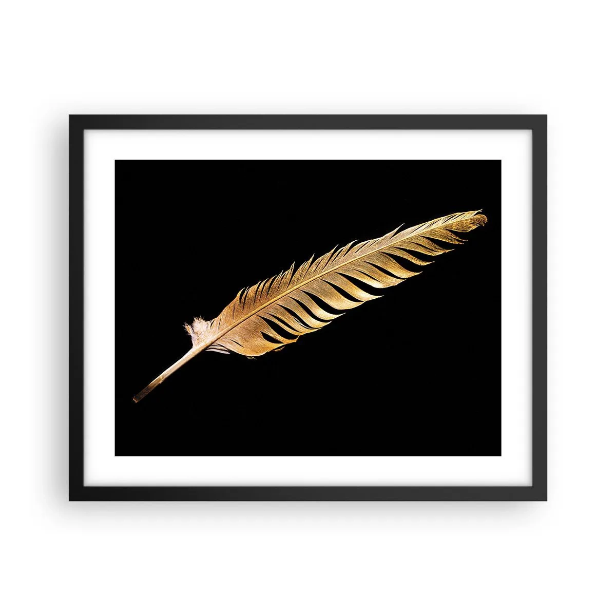 Poster in black frame - High-Class Feather - 50x40 cm