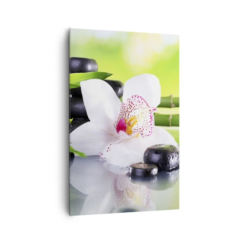 Canvas picture - Cool Freshness - 80x120 cm