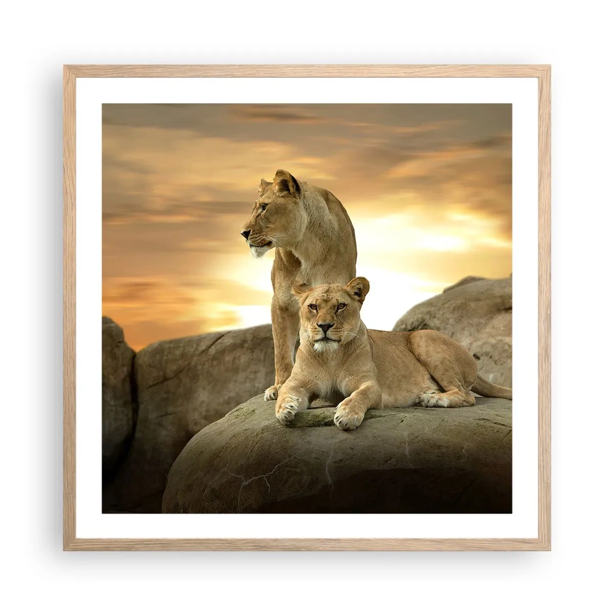 Poster in light oak frame - Royal Majesty - 60x60 cm