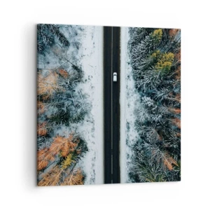 Canvas picture - Through a Wintery Forest - 50x50 cm