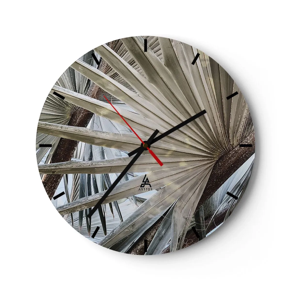 Wall clock - Clock on glass - Fans in tropics - 30x30 cm