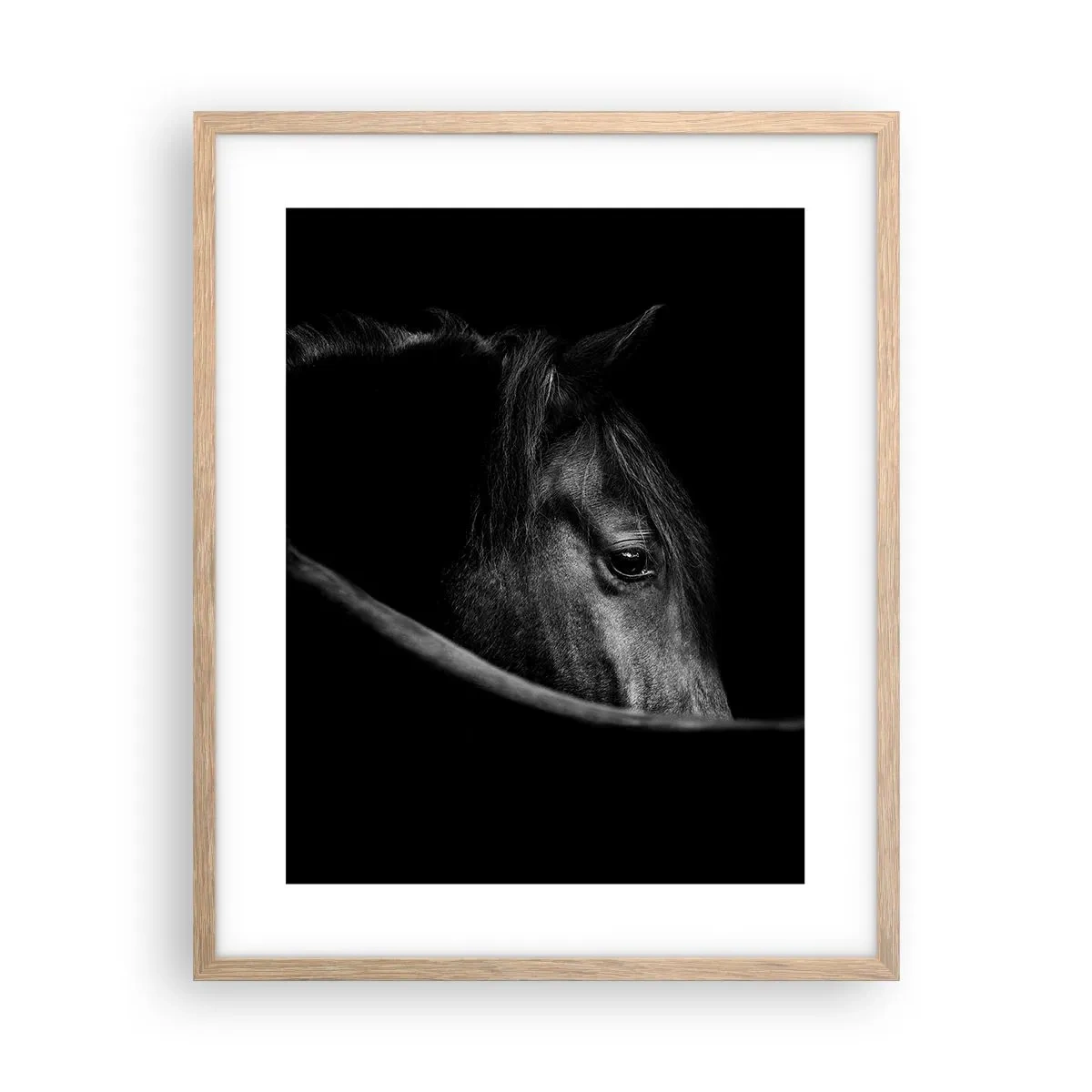 Poster in light oak frame - Black Prince - 40x50 cm