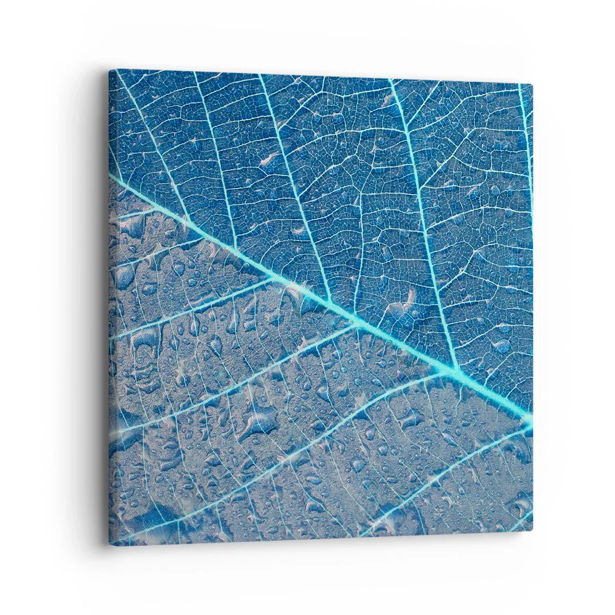 Canvas picture - Life in the Blue - 30x30 cm