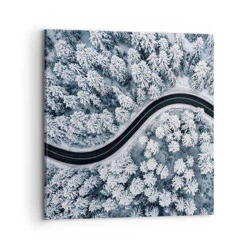 Canvas picture - Through Wintery Forest - 70x70 cm