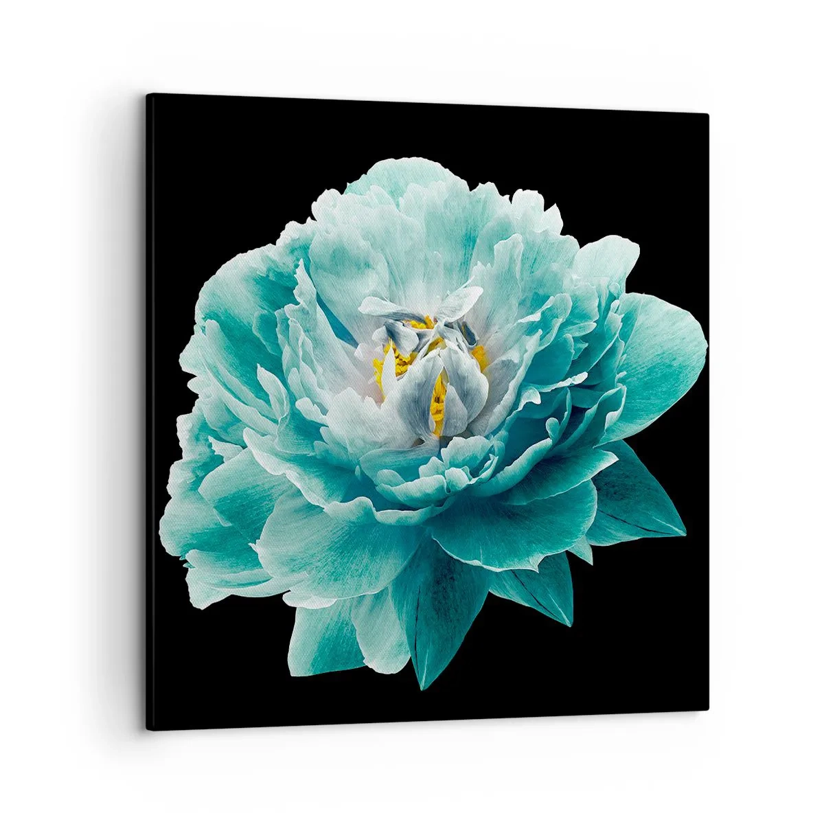 Canvas picture - Blue and Gold Petals - 50x50 cm