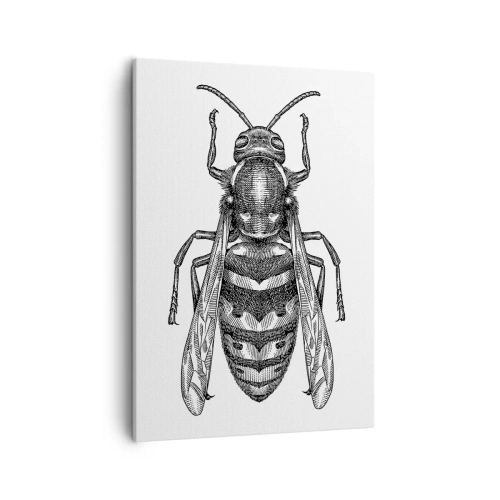 Canvas picture - From Insect Planet - 50x70 cm