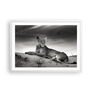Poster in white frmae - Queen of Desert Is Resting - 70x50 cm