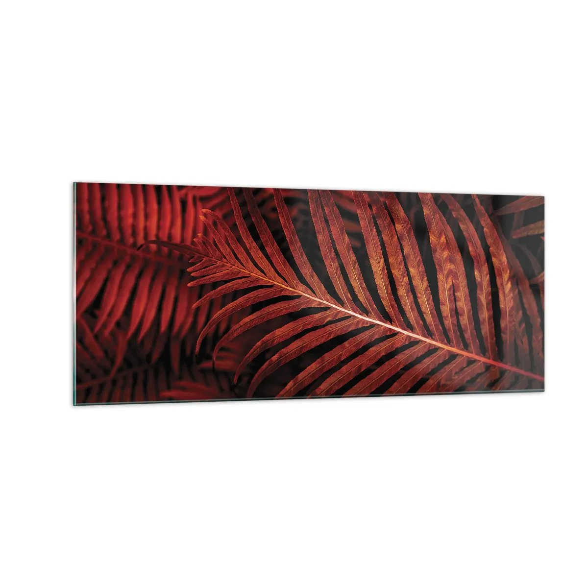 Glass picture - Heat of Life - 100x40 cm