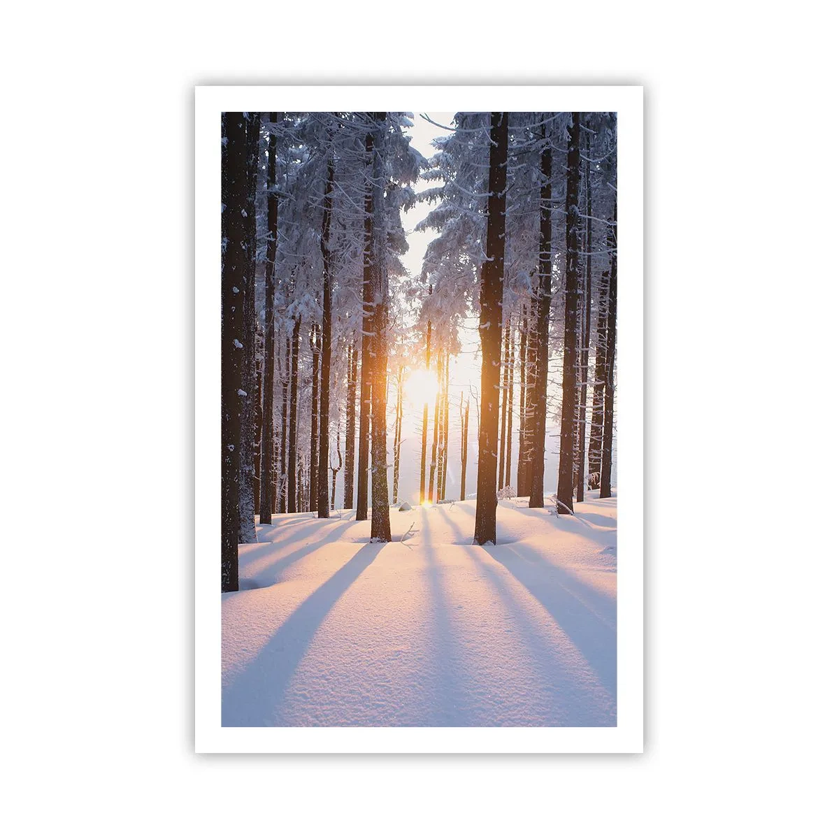 Poster - Clearly Black on White - 61x91 cm