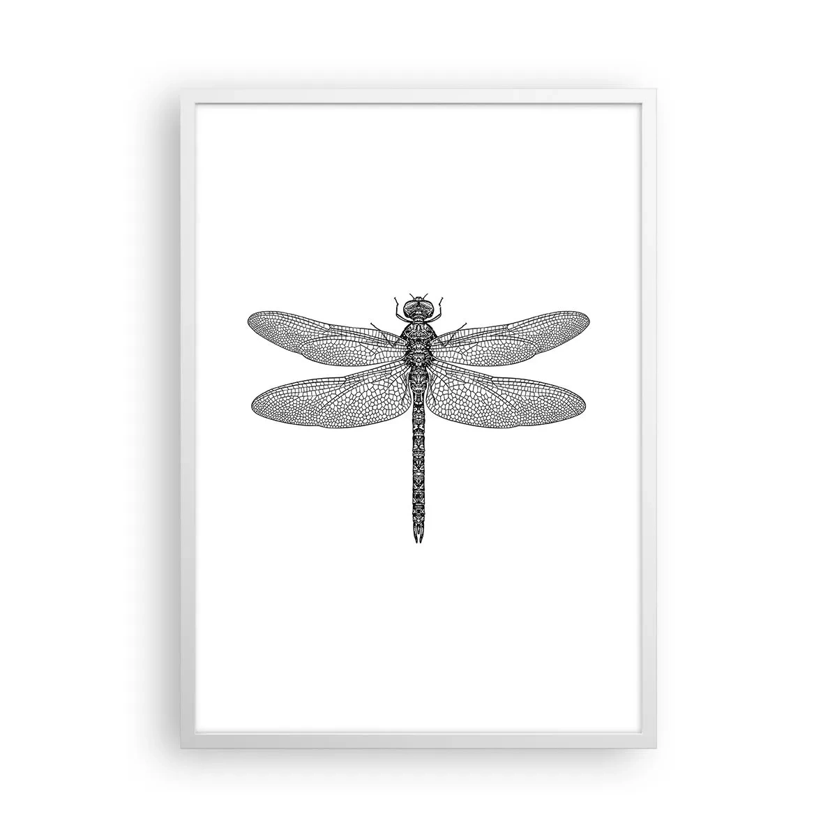 Poster in white frmae - Precision of Nature - 50x70 cm