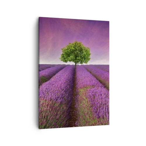 Canvas picture - In the Fields of Lavender - 50x70 cm