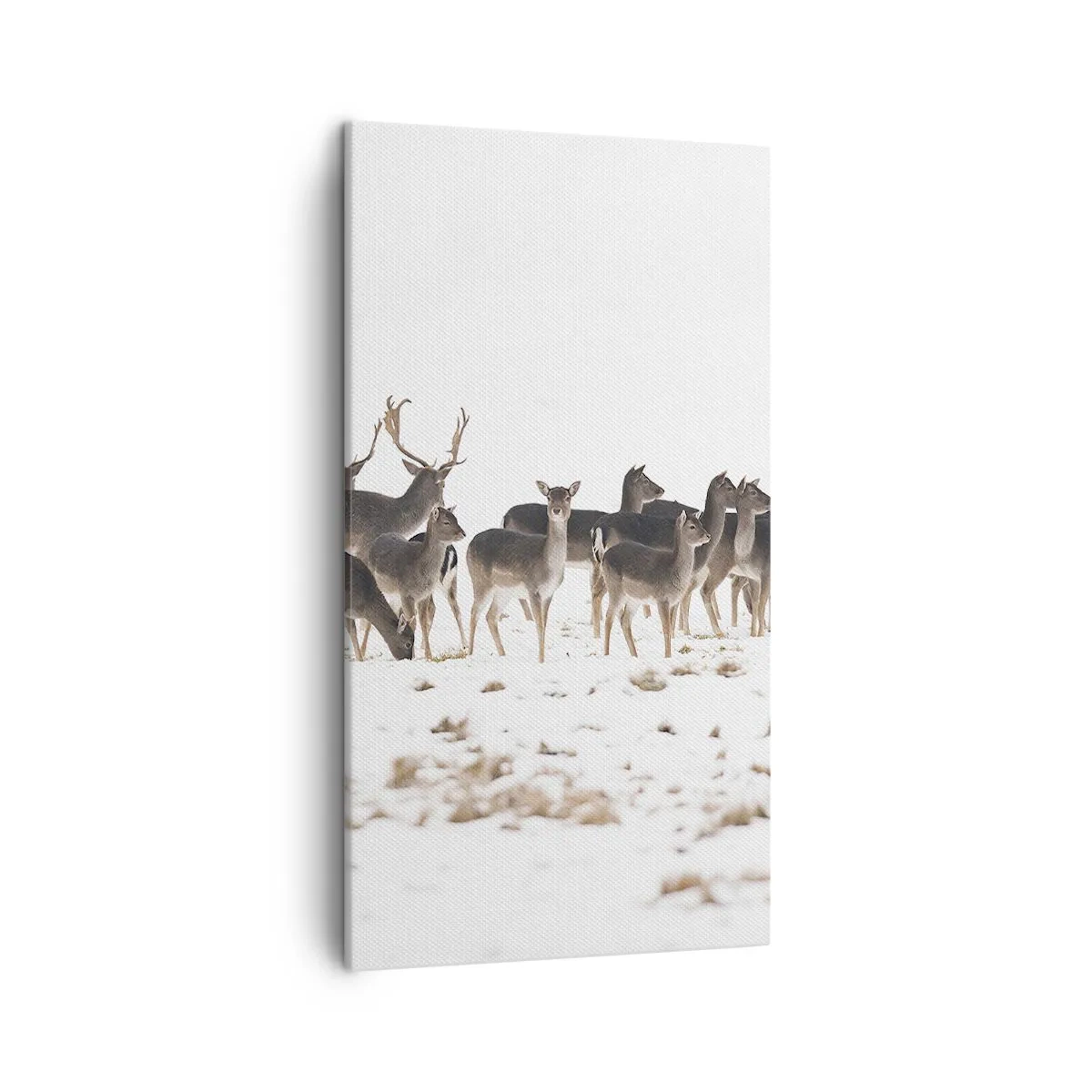 Canvas picture - Is it Christmas Already? - 45x80 cm