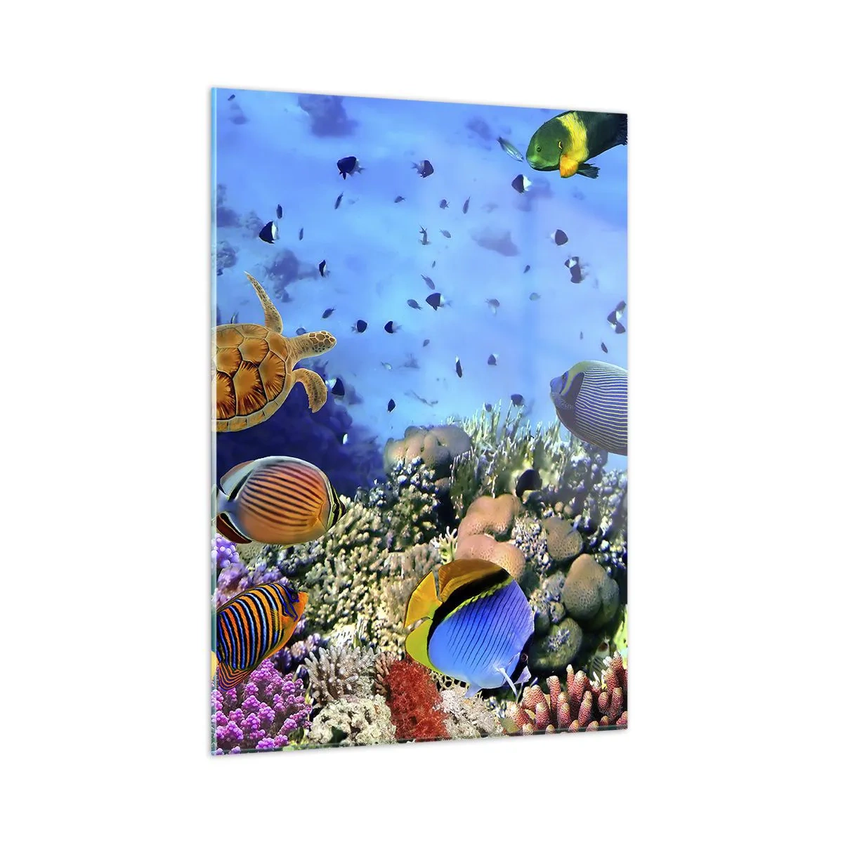 Glass picture - What Do We Know about Life? - 50x70 cm