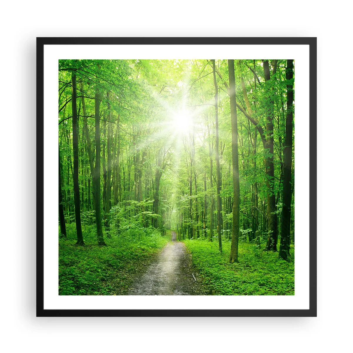 Poster in black frame - Green Cathedral - 60x60 cm