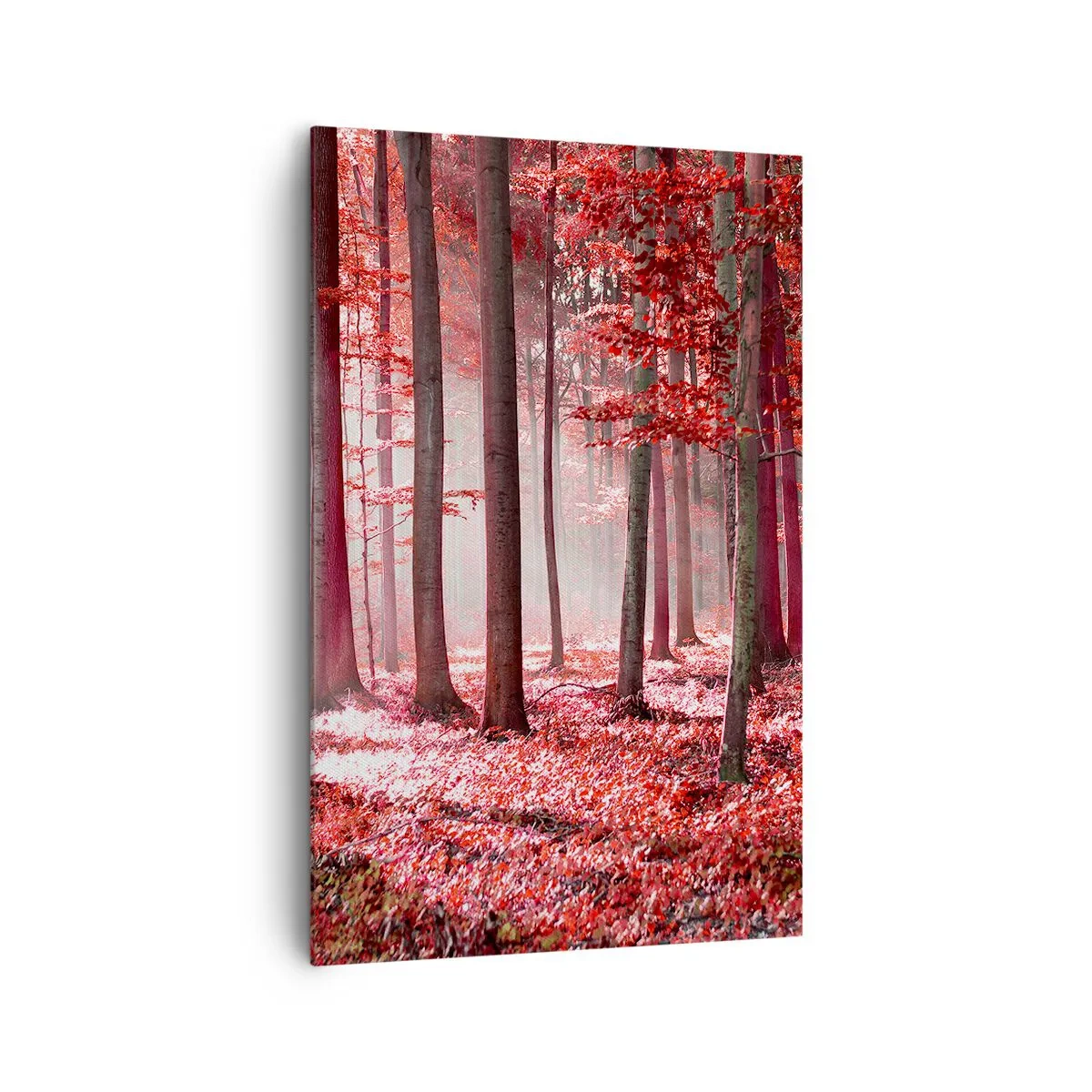 Canvas picture - Red Equally Beautiful - 80x120 cm