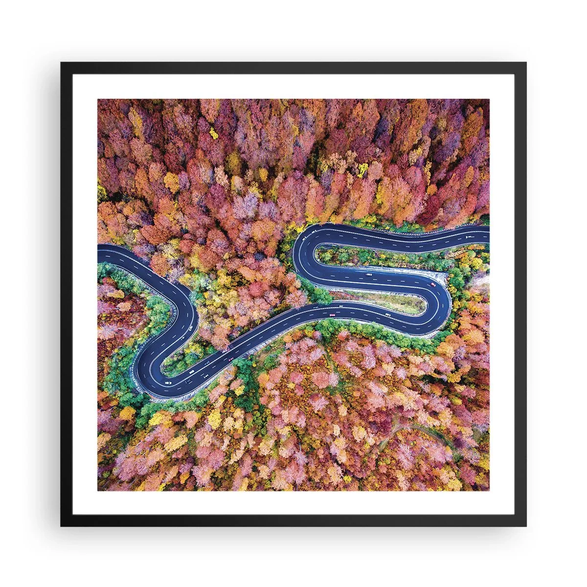 Poster in black frame - Winding Path through a Forest - 60x60 cm