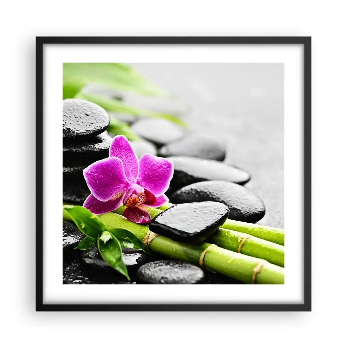 Poster in black frame - In a Peaceful Balance - 50x50 cm