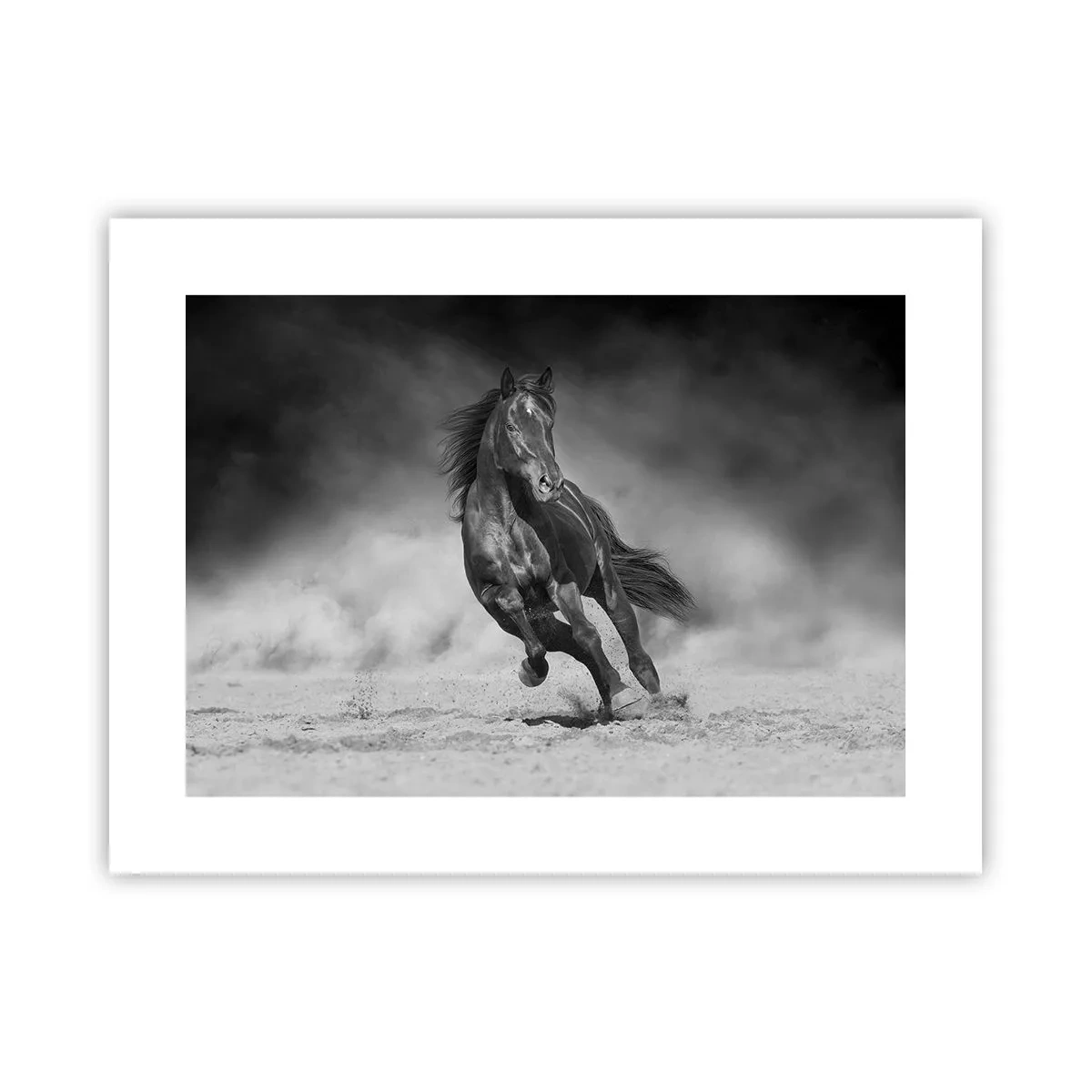 Poster - Worthy of Emir Himself - 40x30 cm