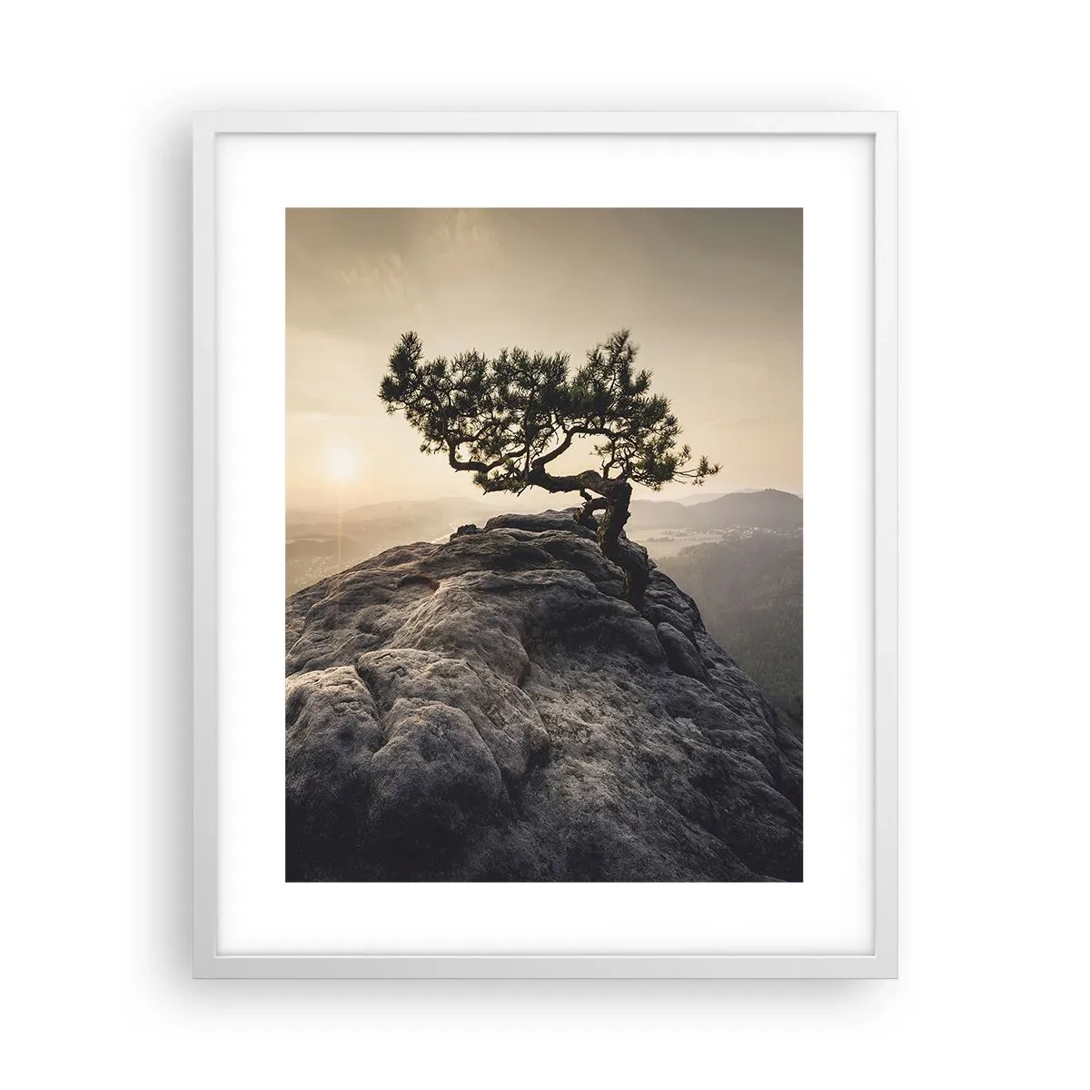 Poster in white frmae - Life Always Wins - 40x50 cm