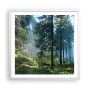 Poster in white frmae - Radiant at Dawn - 60x60 cm