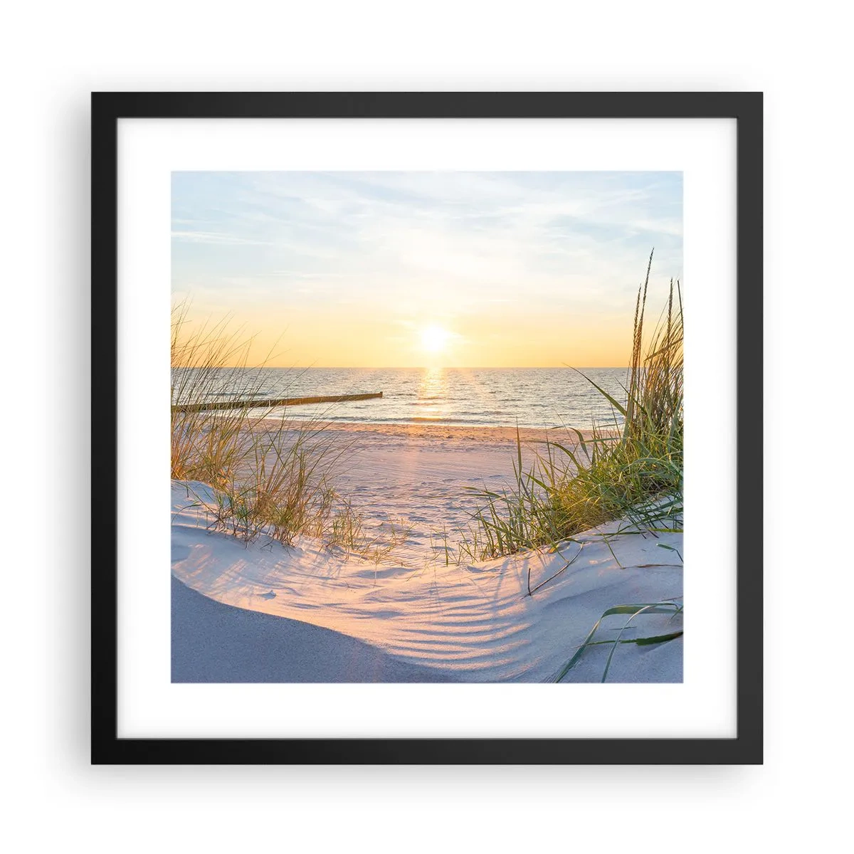 Poster in black frame - Sound of the Sea, Singing of the Birds, Wild Beach among Grass - 40x40 cm