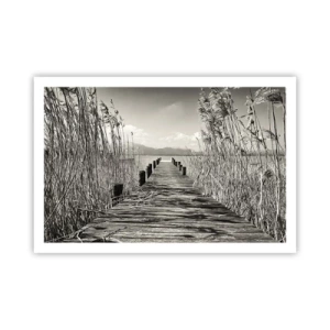 Poster - In the Grass - 91x61 cm