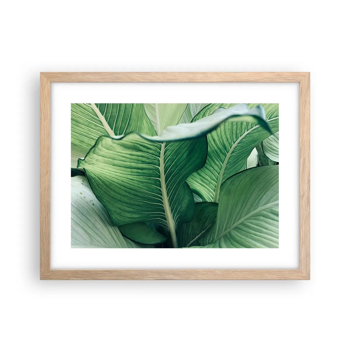 Poster in light oak frame - Life in Intense Green Colour - 40x30 cm