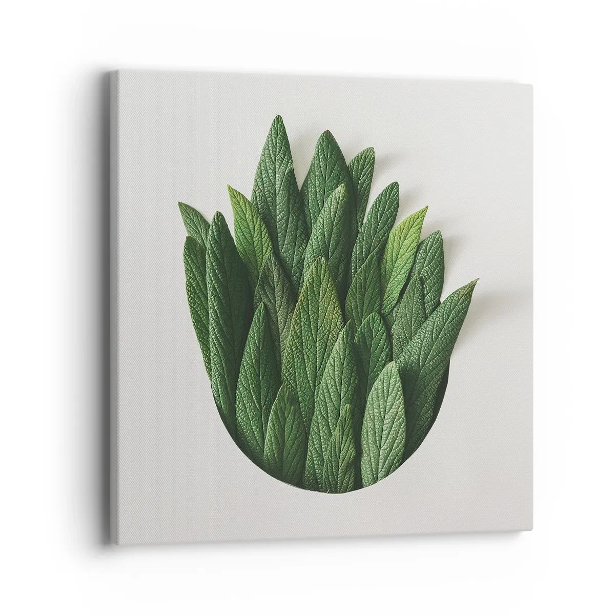 Canvas picture - Untamed Curiosity - 40x40 cm