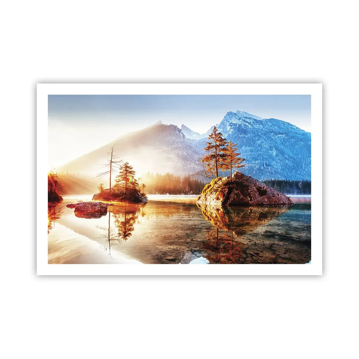 Poster - Nature in New Light - 91x61 cm