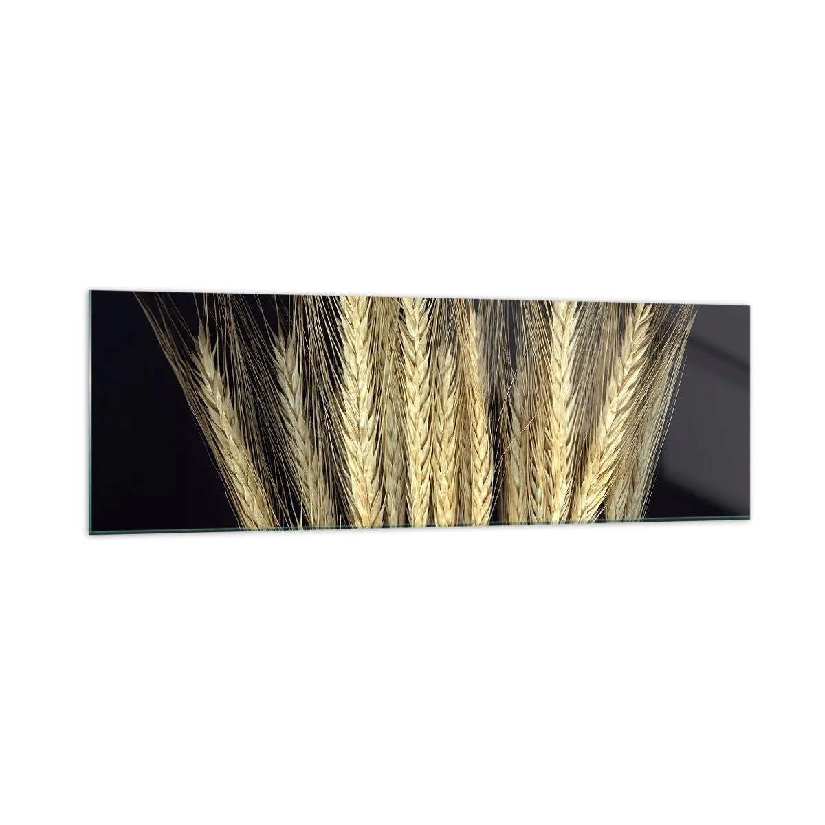 Glass picture - Rustic Magic - 160x50 cm