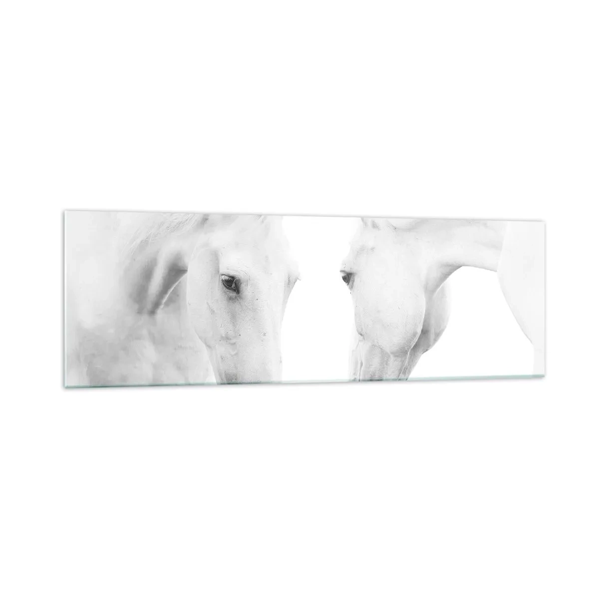 Glass picture - Is this friendship…? - 160x50 cm