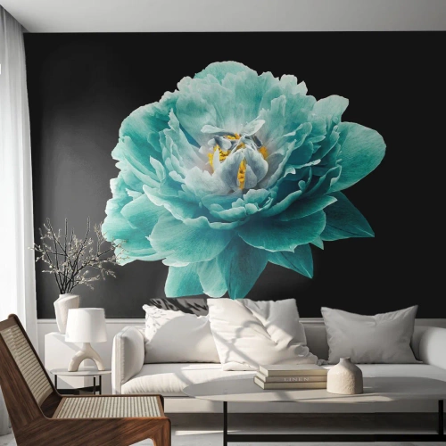 Photo Wallpaper Standard Eco - Blue and Gold Petals - Flower, Blooming, Peony - 350x256 cm