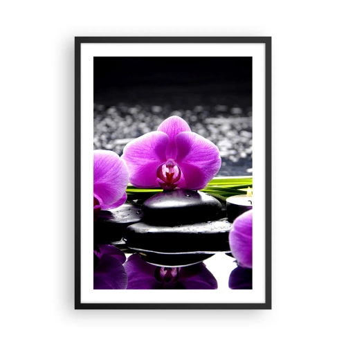Poster in black frame - A purple orchid against a background of stones and water in a spa-like setting - 50x70cm - Drowning in Peace and Quiet - Modern wall decoration for the living room and bedroom ARTTOR