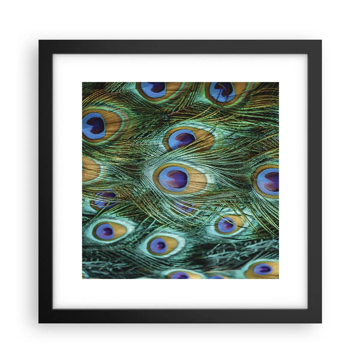 Poster in black frame - Peacock Eyes - 30x30 cm
