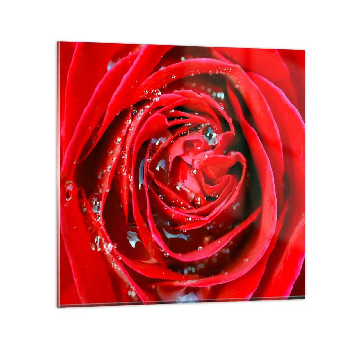 Glass picture - In Dew Drops - 30x30 cm