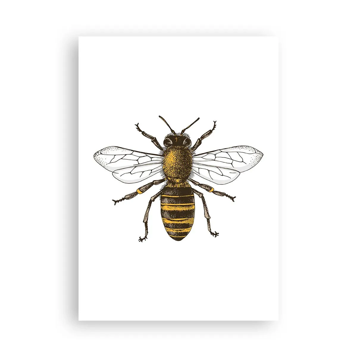 Poster - Beautiful and Good - 70x100 cm