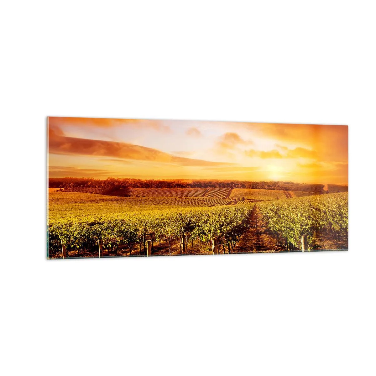 Glass picture - Delicatly Fruity with a Note of the Sun - 100x40 cm