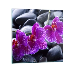 Glass picture - Stones Shining with Awe - 70x70 cm