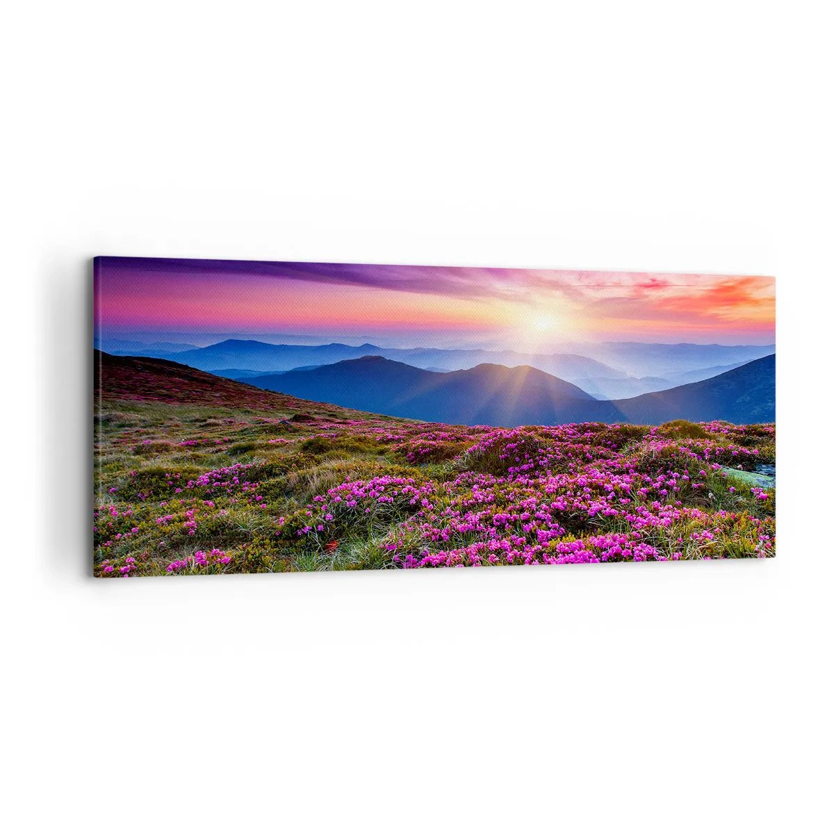 Canvas picture - Smells Strongly of Herbs - 120x50 cm