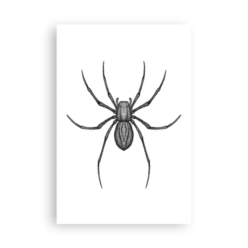 Poster - Disturbing Precision - 61x91 cm