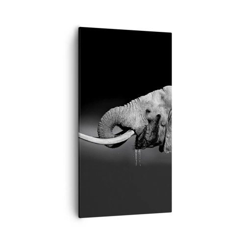 Canvas picture - Yes, That's Right - 55x100 cm