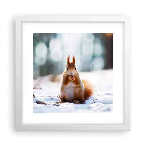 Poster in white frmae - What Are You Looking at? - 30x30 cm