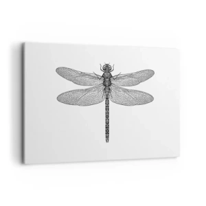 Canvas picture - Precision of Nature - 120x80 cm