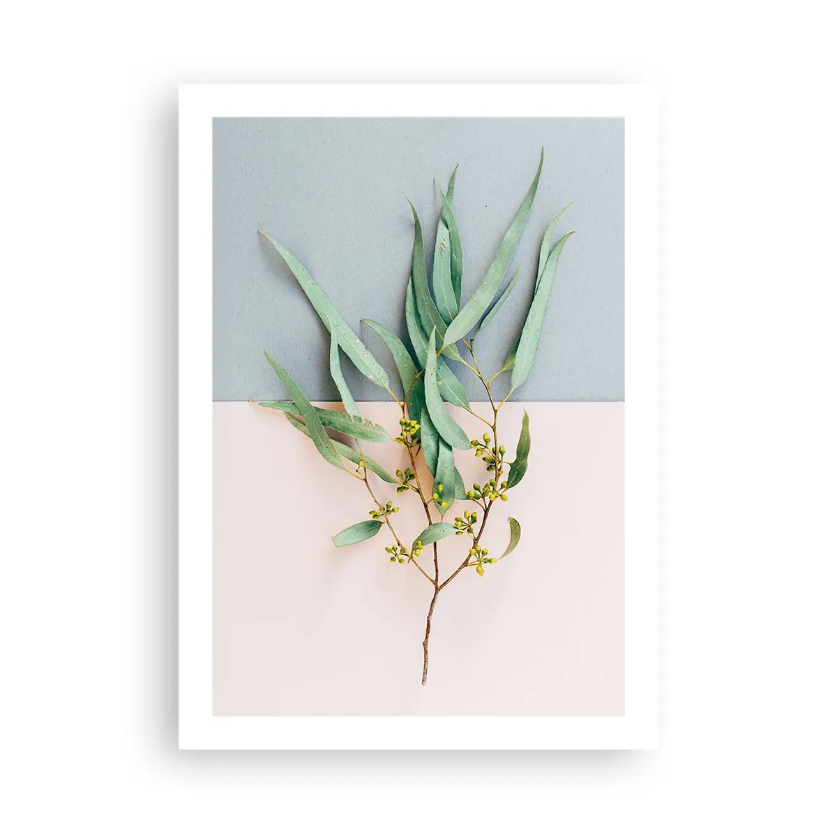 Poster - Pastel Subtlety - 50x70 cm