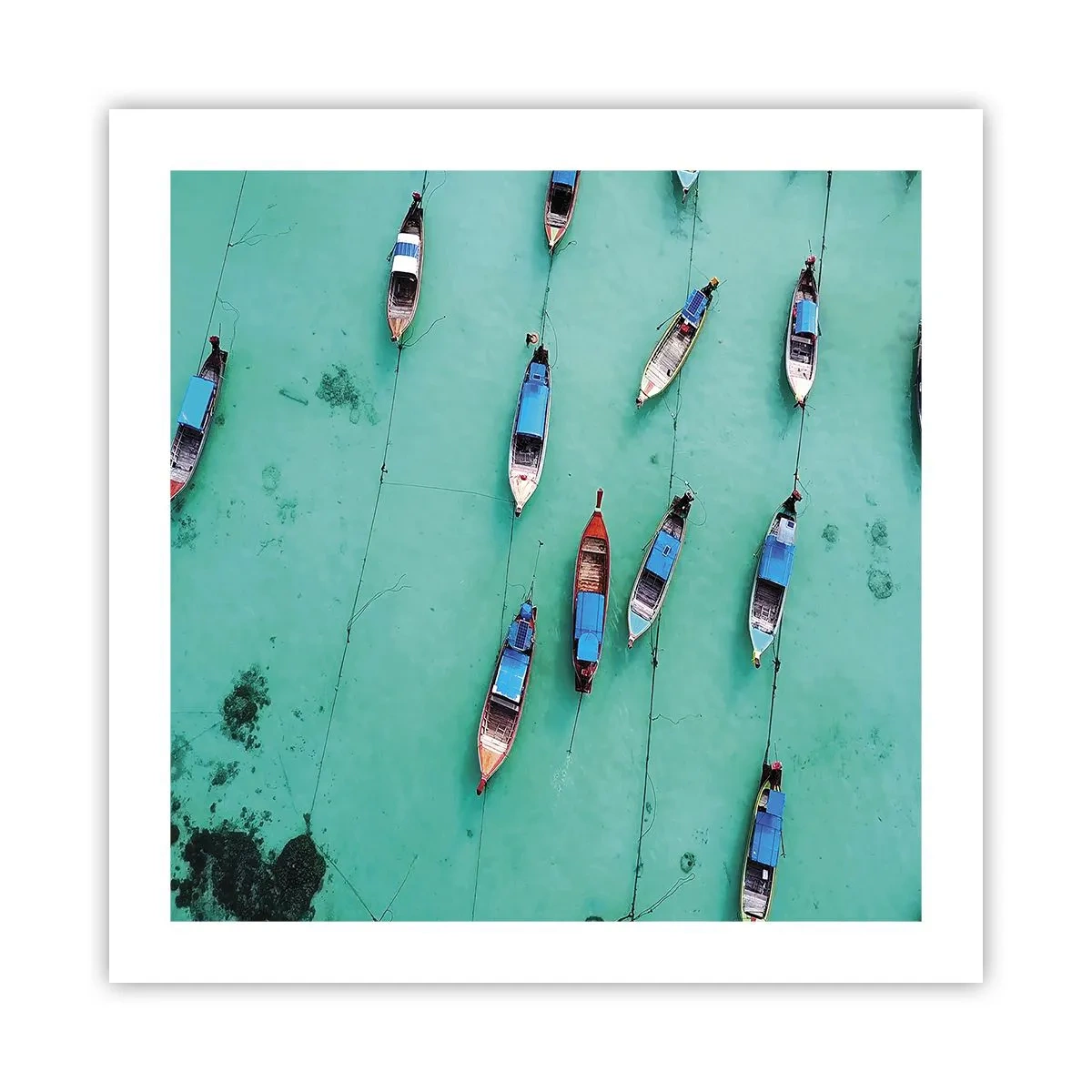 Poster - In Joyful Expectation - 50x50 cm