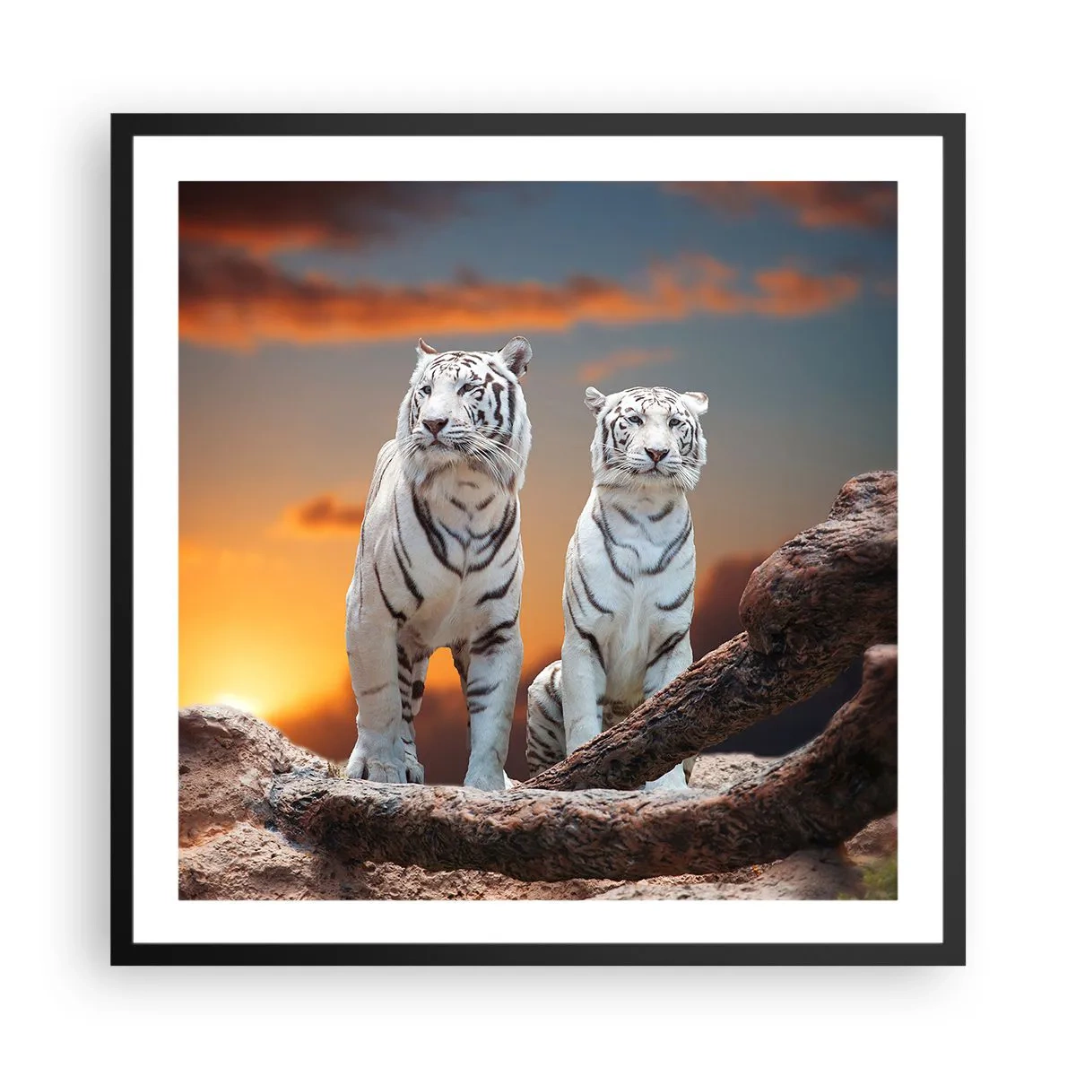 Poster in black frame - Just Like in Narnia - 60x60 cm