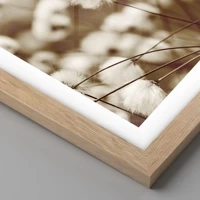 Light Oak